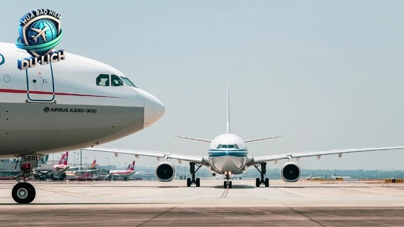 Bảo vệ an toàn khi mua bảo hiểm du lịch trực tuyến