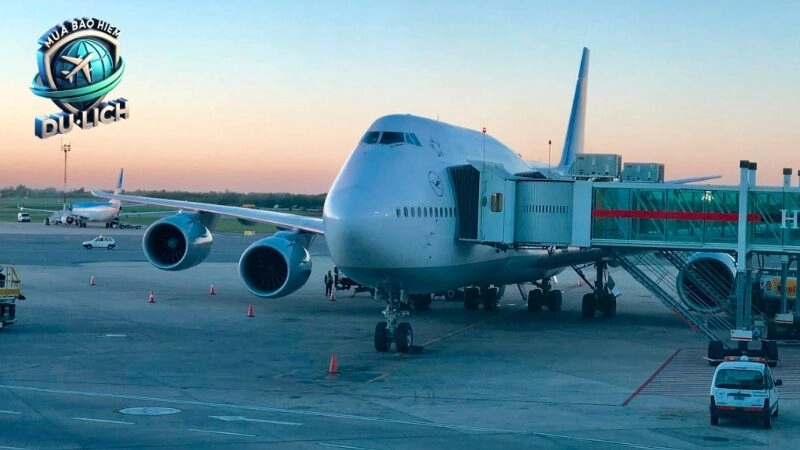 Các gói bảo hiểm du lịch giá rẻ phù hợp cho mọi đối tượng