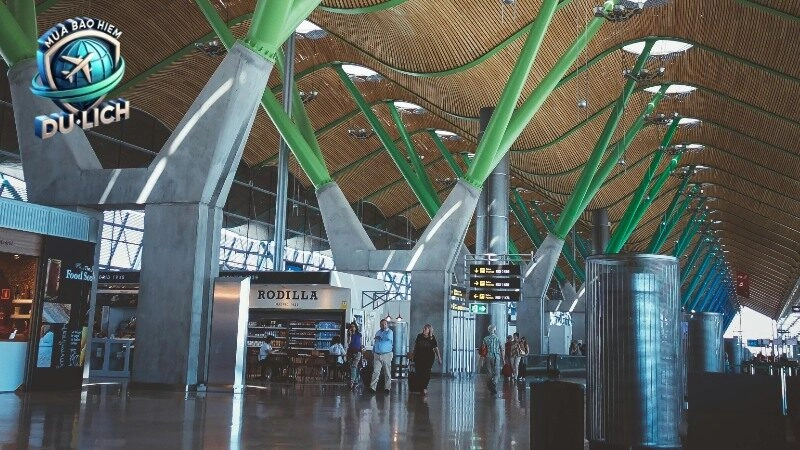 Các loại bảo hiểm quốc tế phù hợp với mọi đối tượng