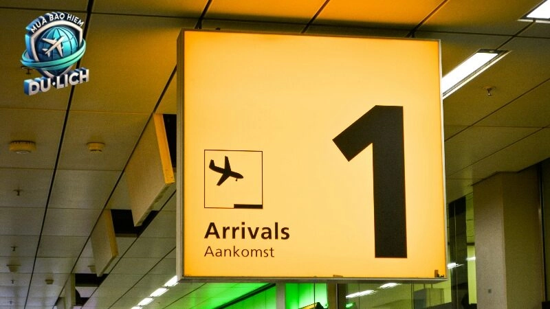Cách mua bảo hiểm du lịch Schengen cho visa dễ dàng