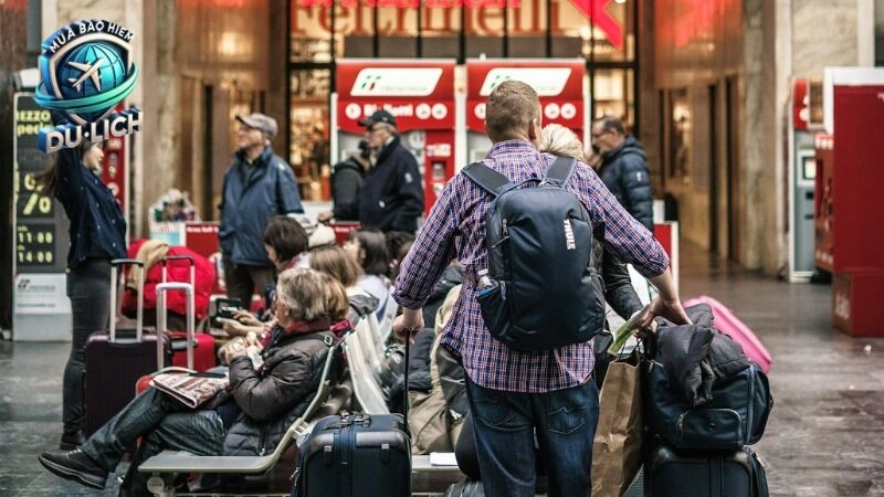 Hướng dẫn chọn bảo hiểm du lịch phù hợp nhất