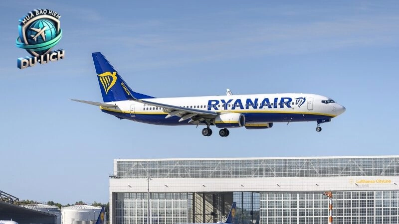 Lợi ích của việc mua bảo hiểm du lịch quốc tế