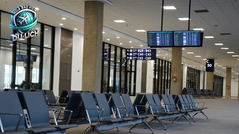 Lợi ích vượt trội của bảo hiểm du lịch Pacific Cross