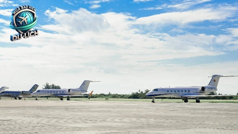 Mua bảo hiểm du lịch dễ dàng với hướng dẫn chi tiết