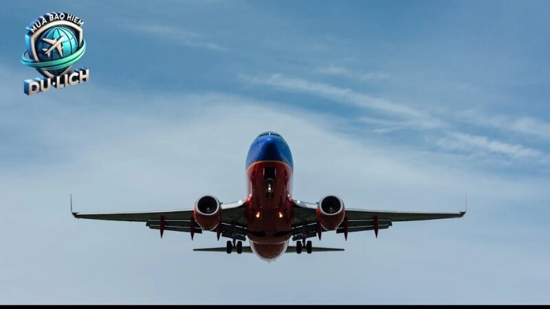 Tìm hiểu về các loại bảo hiểm du lịch phù hợp