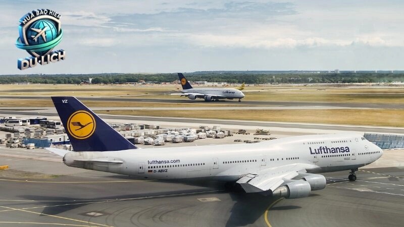 Tìm hiểu về các loại bảo hiểm quốc tế phổ biến