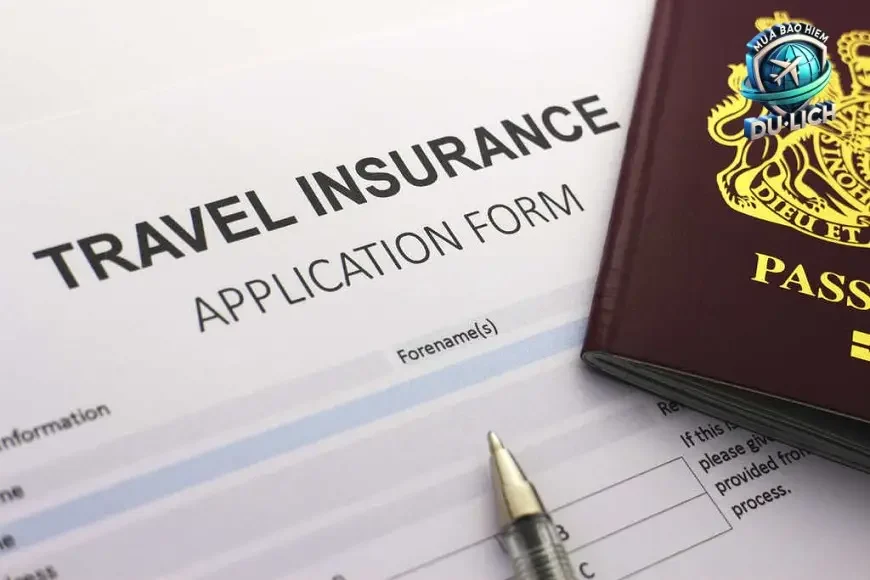 Lựa Chọn Gói Bảo Hiểm Du Lịch Schengen Phù Hợp