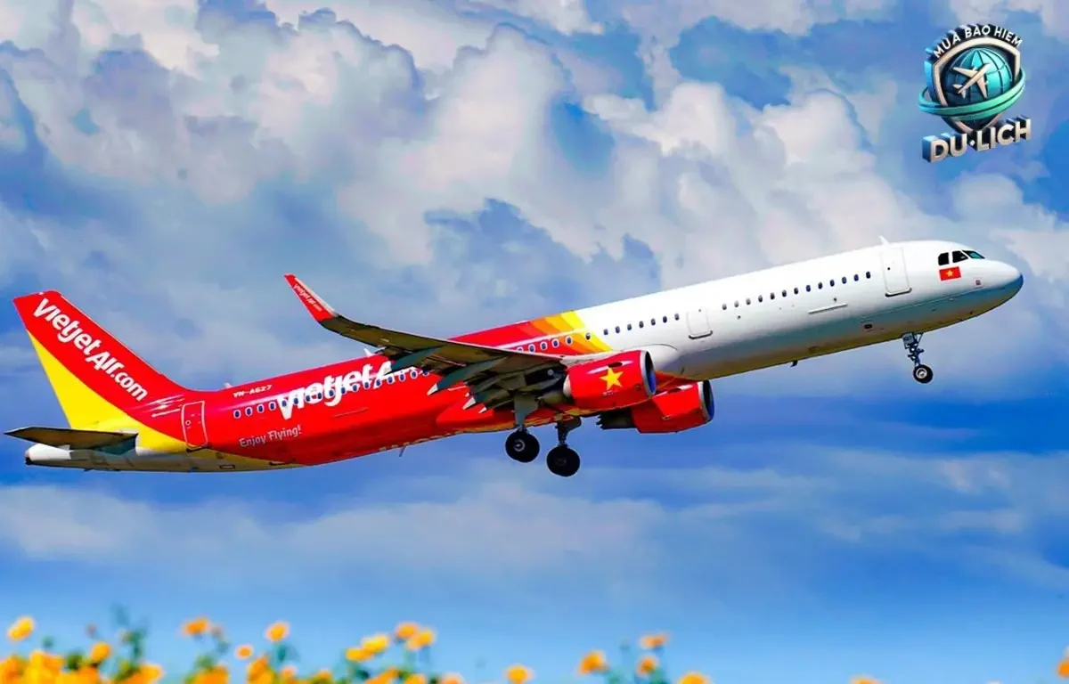 Có Nên Mua Bảo Hiểm Du Lịch Khi Đi Máy Bay?