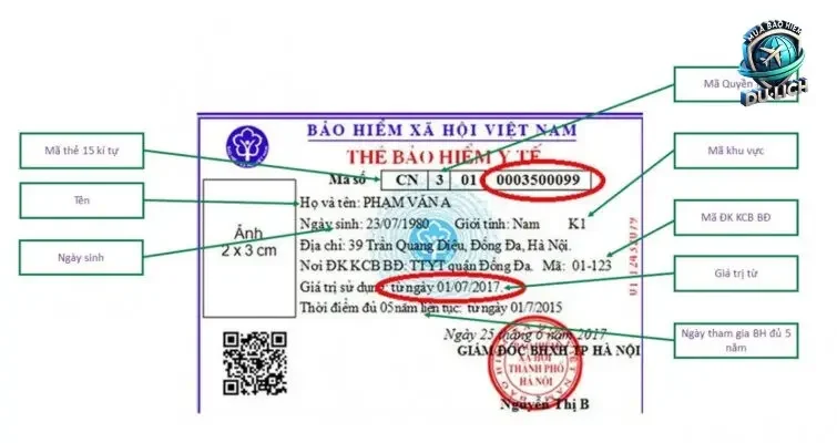 Điều Khoản và Điều Kiện Của Bảo Hiểm