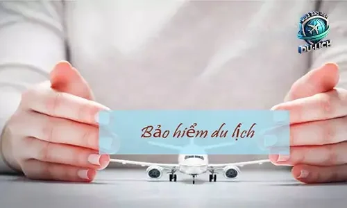 Mua Trực Tuyến Qua Các Website So Sánh Bảo Hiểm