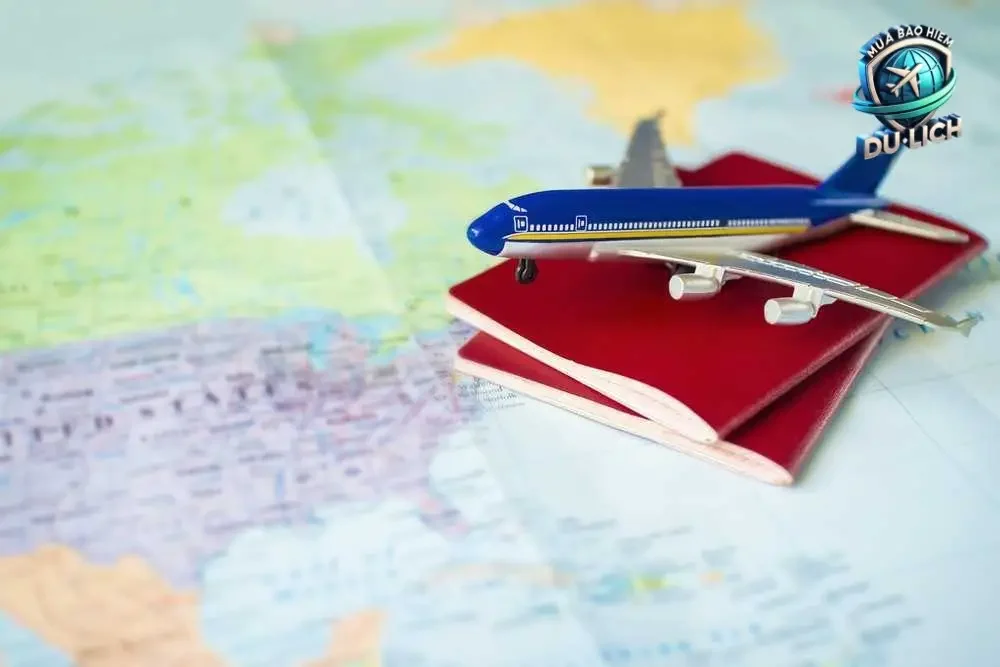 Các điều khoản và điều kiện bảo hiểm