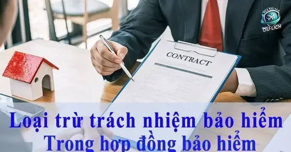 Bản Chất và Mục Đích Của Điều Khoản Loại Trừ
