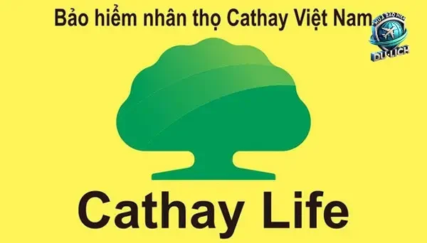 Quyền Lợi Chính Của Bảo Hiểm Tai Nạn Cá Nhân Cathay