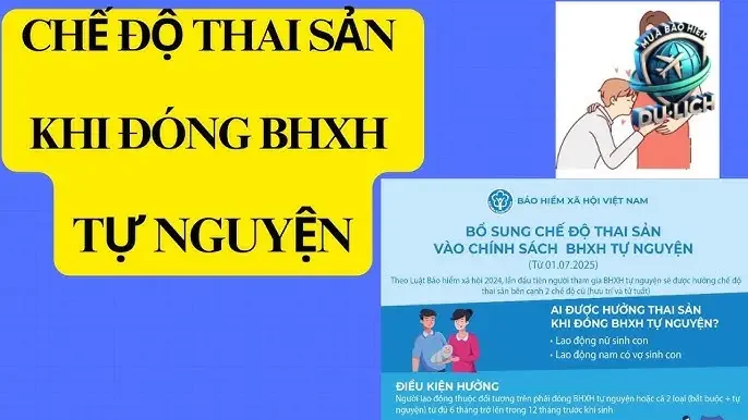 Vì Sao BHXH Tự Nguyện Không Bao Gồm Chế Độ Thai Sản?