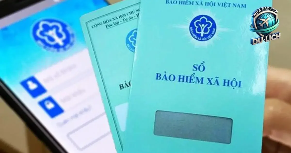 Vậy, Có Giải Pháp Nào Để Bảo Vệ Quyền Lợi Thai Sản Cho Người Tham Gia BHXH Tự Nguyện?