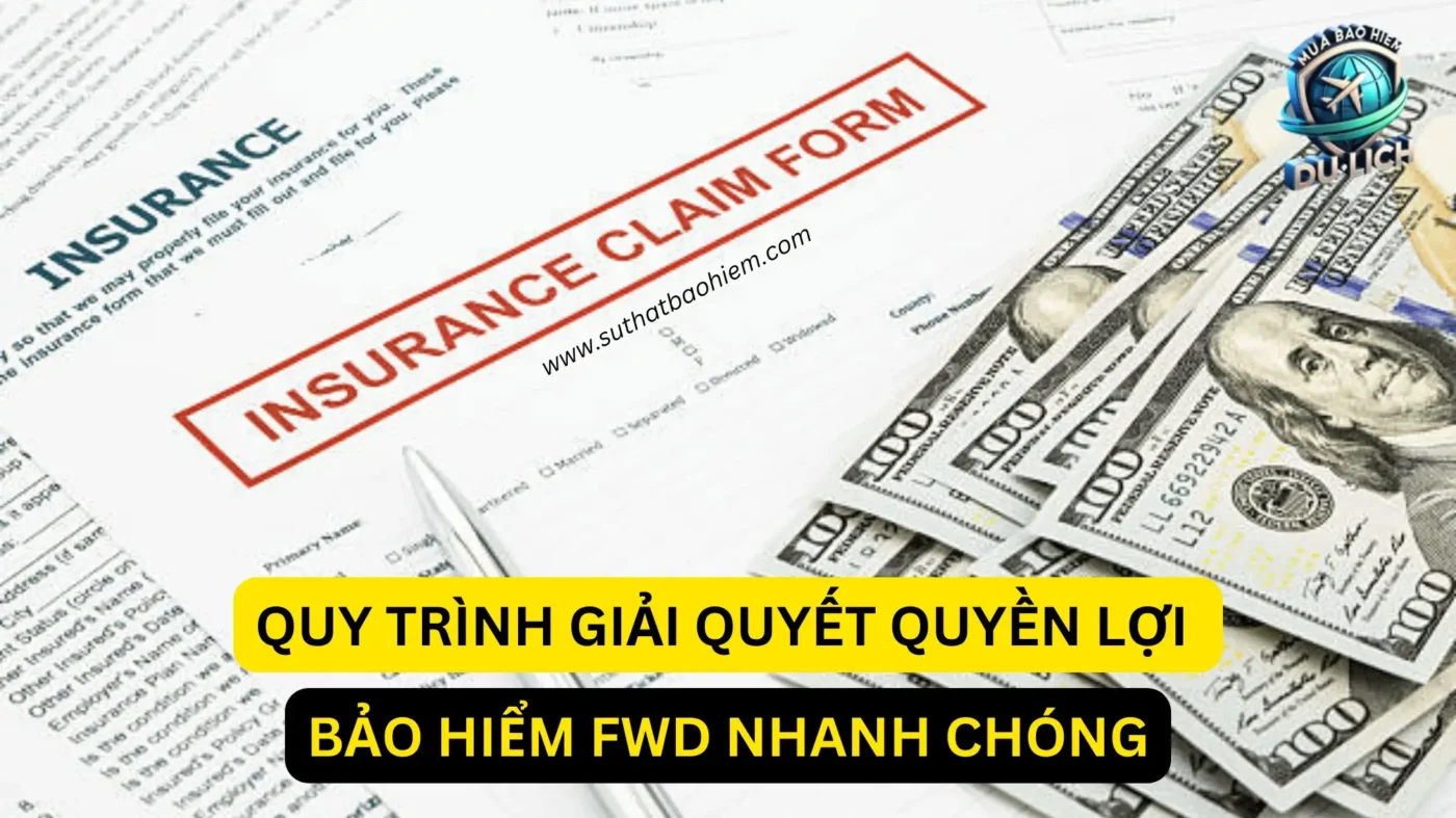 Thu Thập Hồ Sơ Yêu Cầu Bồi Thường
