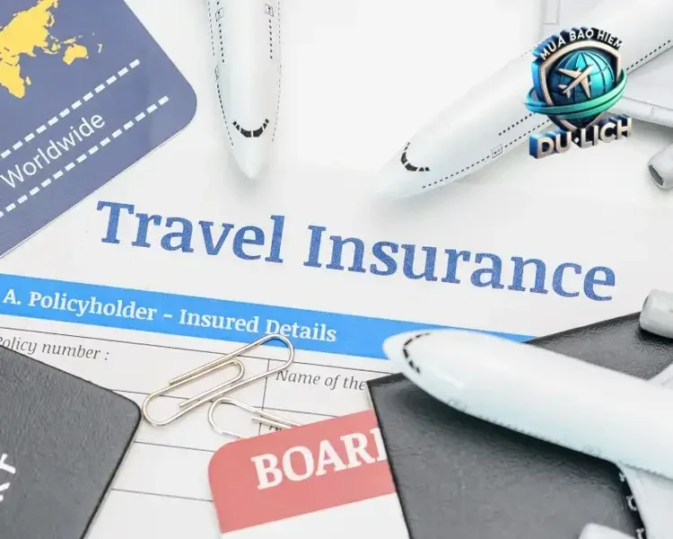 Phạm vi bảo hiểm và thời hạn