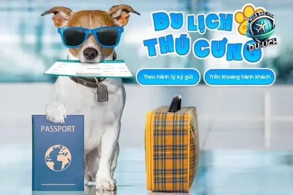 Các công ty bảo hiểm cung cấp bảo hiểm du lịch cho thú cưng tại Việt Nam