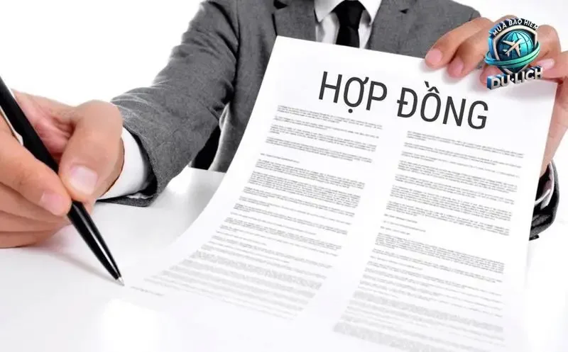 Các loại bảo hiểm có thể chi trả chi phí luật sư