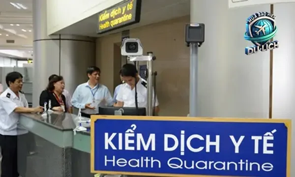 Lợi ích của dịch vụ hỗ trợ y tế bằng tiếng Việt 24/7