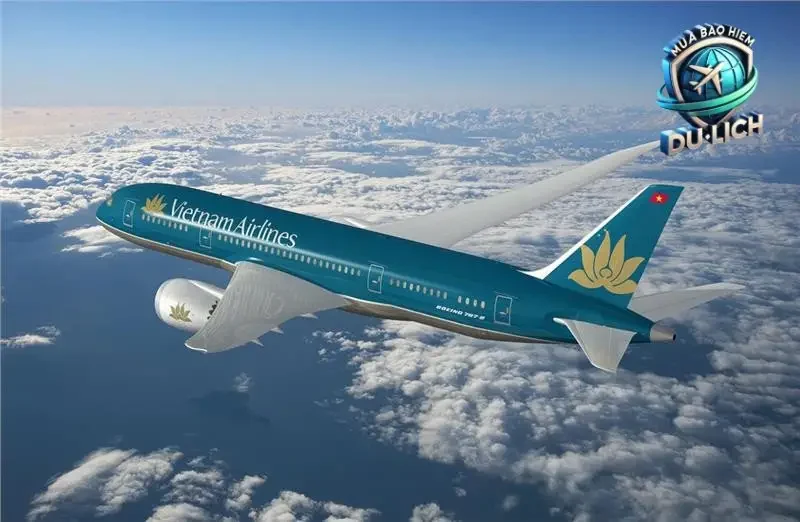 Các Trường Hợp Bảo Hiểm Du Lịch Thường Không Chi Trả Chi Phí Vé Máy Bay Quay Đầu