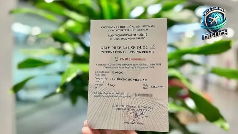 Điều khoản và điều kiện của hợp đồng bảo hiểm