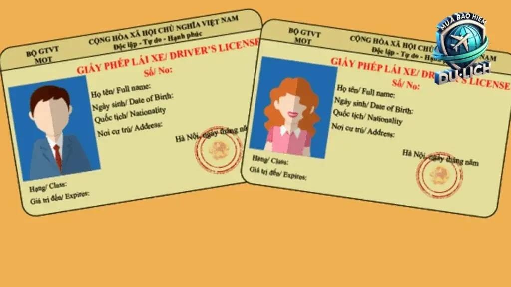 Các loại bằng lái xe quốc tế và tính hợp pháp